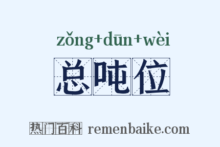 总吨位是什么意思的图片